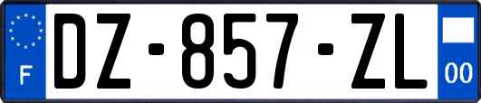 DZ-857-ZL