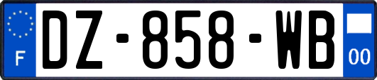 DZ-858-WB