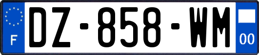 DZ-858-WM