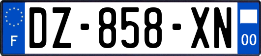 DZ-858-XN