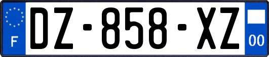 DZ-858-XZ