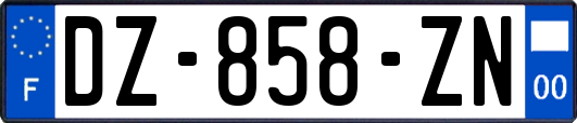 DZ-858-ZN