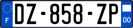 DZ-858-ZP