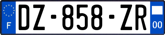 DZ-858-ZR