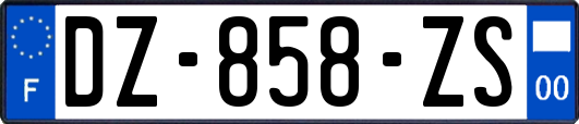 DZ-858-ZS