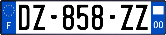 DZ-858-ZZ