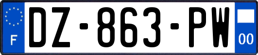 DZ-863-PW