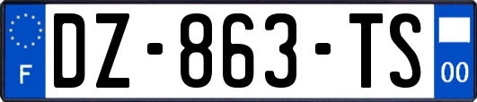 DZ-863-TS