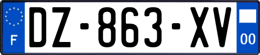 DZ-863-XV