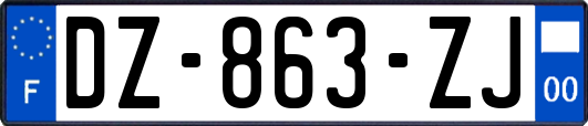 DZ-863-ZJ