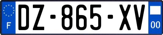 DZ-865-XV