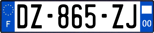 DZ-865-ZJ