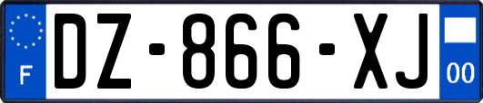 DZ-866-XJ