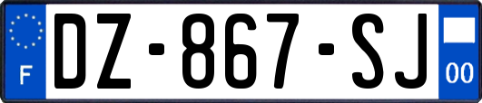 DZ-867-SJ