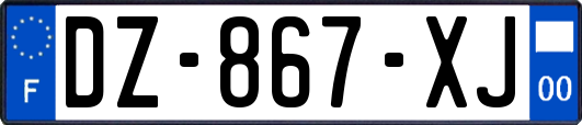 DZ-867-XJ