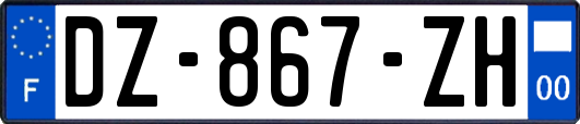 DZ-867-ZH