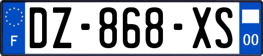 DZ-868-XS