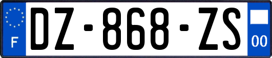 DZ-868-ZS