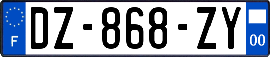 DZ-868-ZY