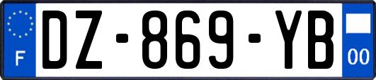 DZ-869-YB