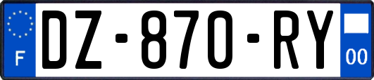 DZ-870-RY