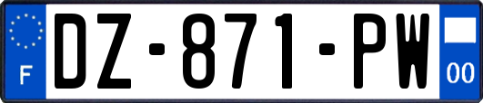 DZ-871-PW