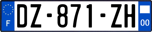 DZ-871-ZH