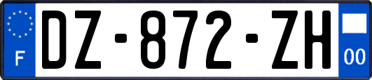 DZ-872-ZH