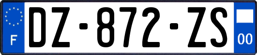 DZ-872-ZS