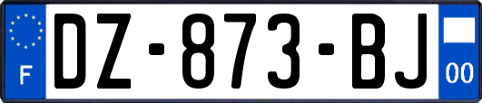 DZ-873-BJ