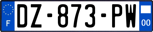 DZ-873-PW