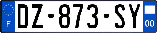 DZ-873-SY