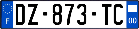 DZ-873-TC