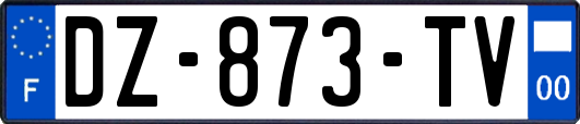 DZ-873-TV