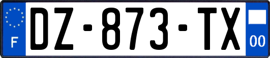 DZ-873-TX