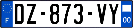DZ-873-VY