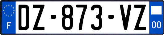 DZ-873-VZ