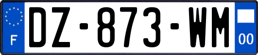 DZ-873-WM