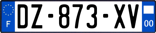 DZ-873-XV