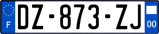 DZ-873-ZJ