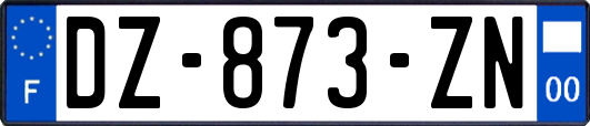 DZ-873-ZN