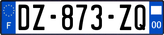 DZ-873-ZQ