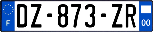 DZ-873-ZR