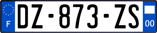 DZ-873-ZS