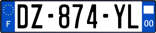 DZ-874-YL