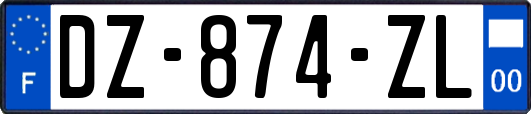 DZ-874-ZL