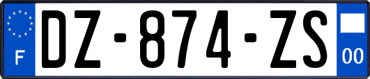 DZ-874-ZS