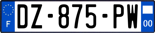 DZ-875-PW