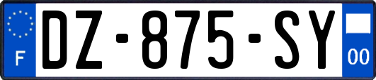 DZ-875-SY