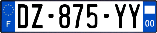 DZ-875-YY